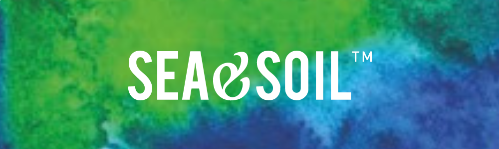 Company Banner